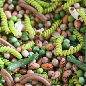Mix Sensoriel - Dino'mix