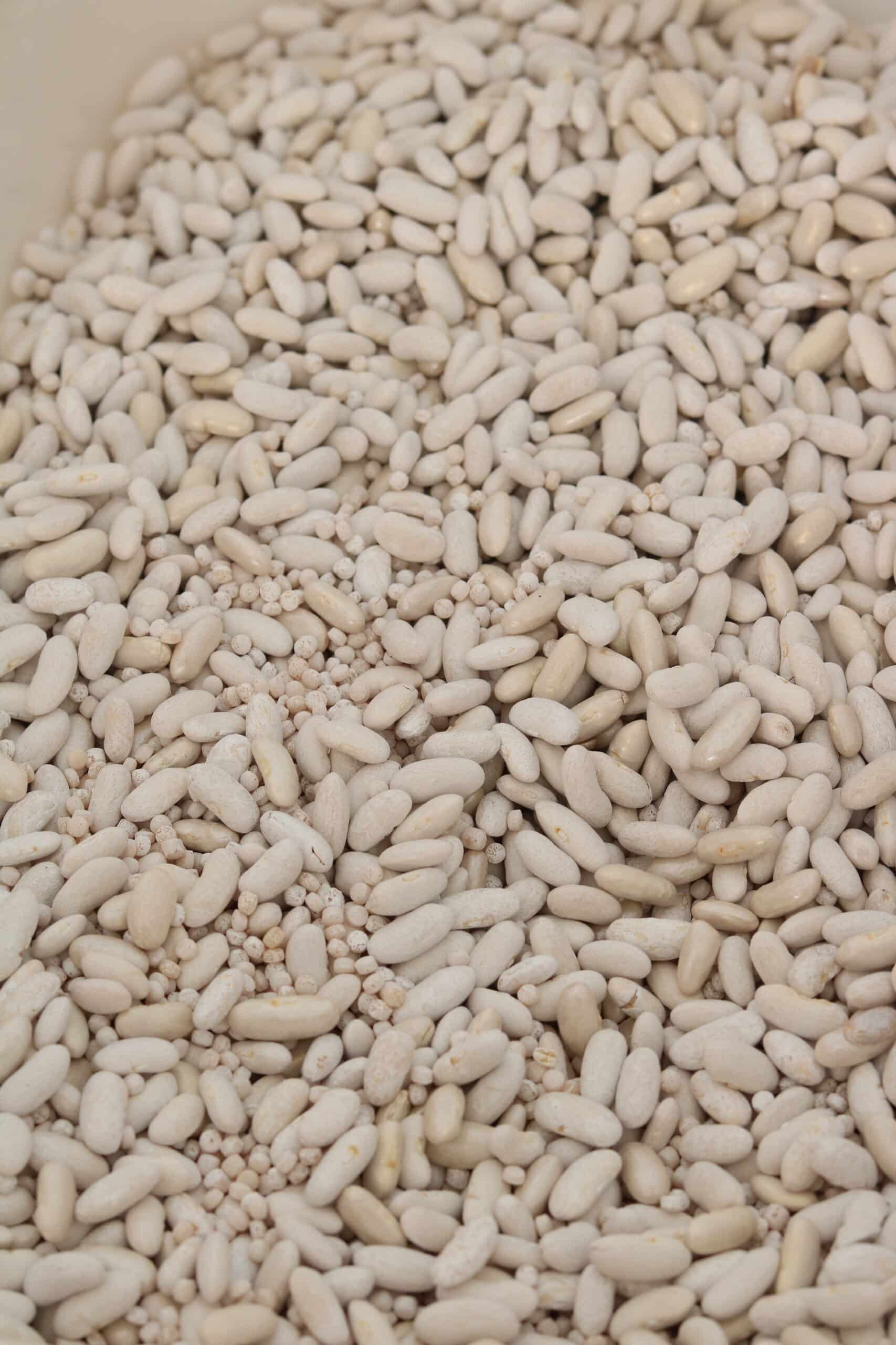 Mix Sensoriel - Neige – Image 2